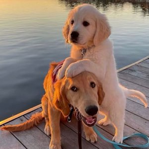 邻家扭蛋女漫画免费阅读未删减
